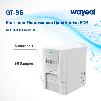 Быстрый испытывая анализатор 96 Wells PCR флуоресцирования в реальном времени количественный 5 каналов